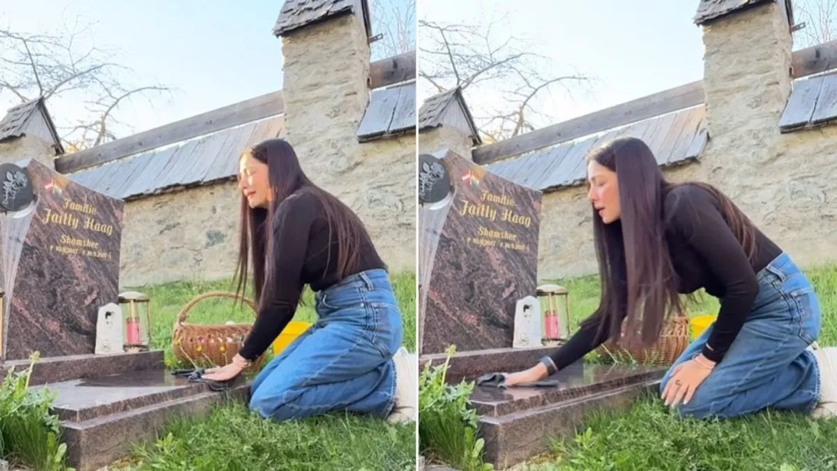 Celina Jaitly breaks down at the grave of her late son while fighting with her husband Peter Haag over divorce in Austria.